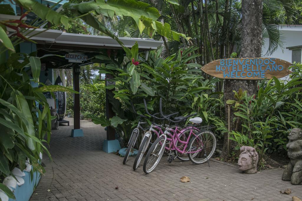 Pelican Beachfront Hotel เอสเตริโญส เอสเต ภายนอก รูปภาพ