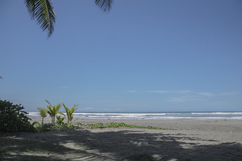 Pelican Beachfront Hotel เอสเตริโญส เอสเต ภายนอก รูปภาพ