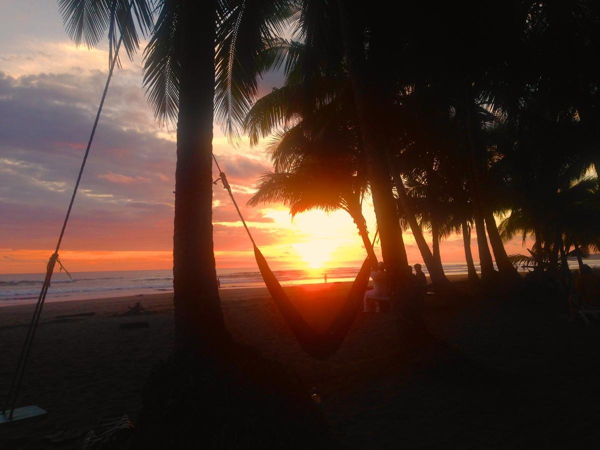 Pelican Beachfront Hotel เอสเตริโญส เอสเต ภายนอก รูปภาพ